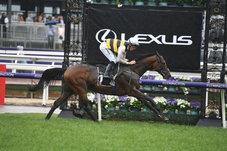 DOWNDRAFT winning the Lexus Hotham Stakes.