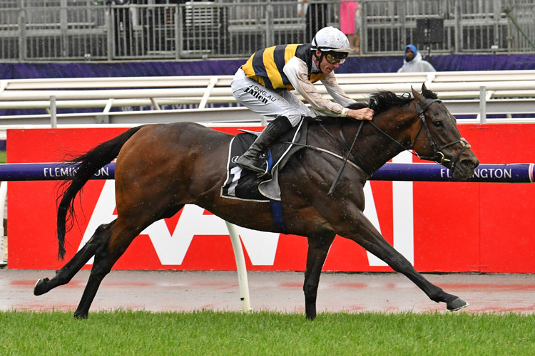 Downdraft winning the Lexus Hotham Stakes