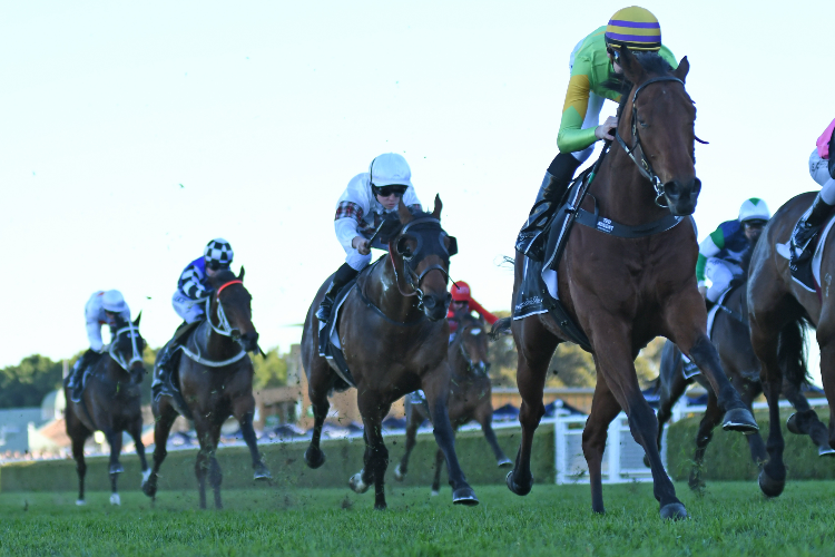 DR DRILL winning the Everest Carnival Handicap.