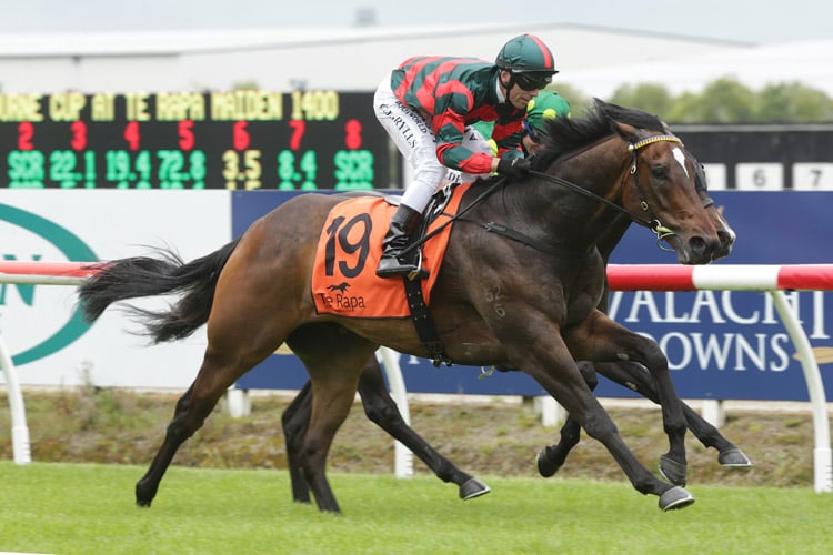 Dragon Leap winning the Melbourne Cup At Te Rapa Mdn