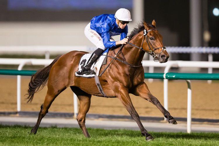 Dream Castle winning the Al Rashidiya Sponsored By Emirates Global Aluminium