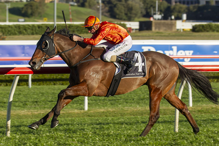 Dreamforce winning the Harvey Norman Tramway Stakes