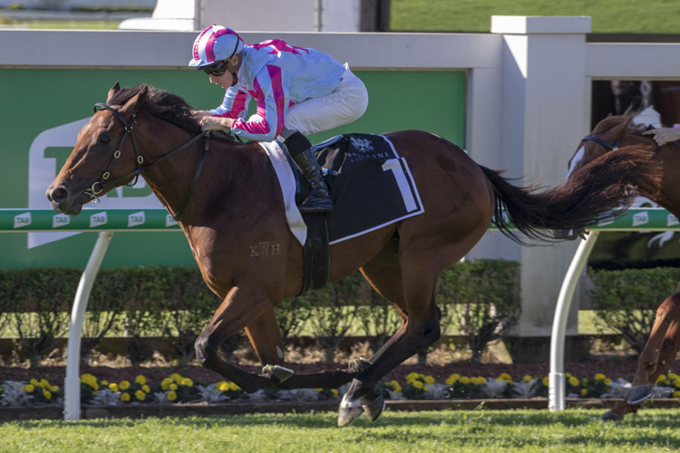Dubious winning the Moet&Chandon Champagne Classic Dubious winning the Moet&Chandon Champagne Classic