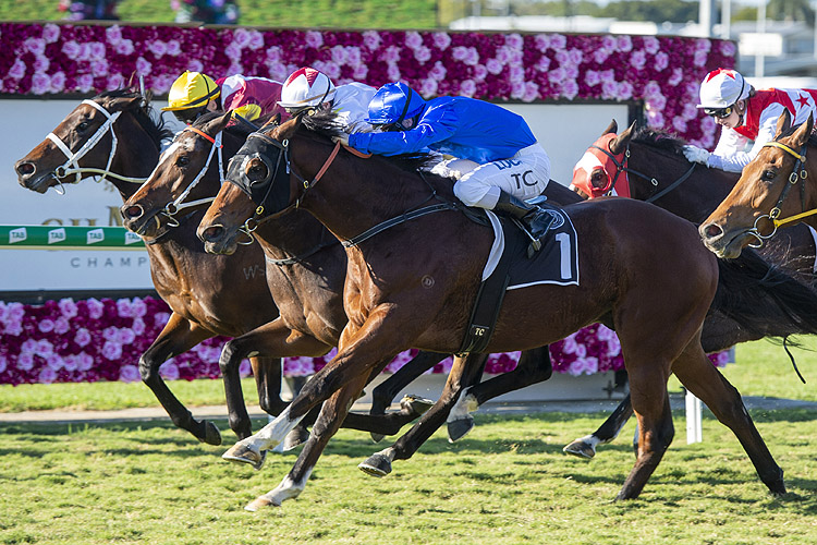 Duca Valentinois winning the G H Mumm