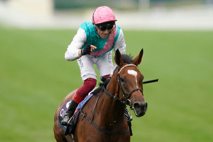ENABLE winning the King George VI And Queen Elizabeth Qipco Stakes (Group 1) in Ascot, England.