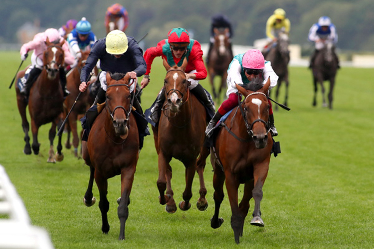 Enable winning the King George VI And Queen Elizabeth Qipco Stakes (Group 1)