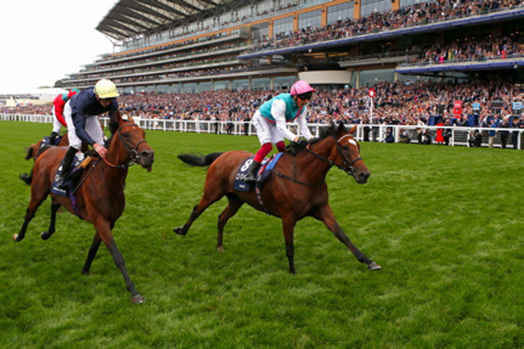 Enable winning the King George VI And Queen Elizabeth Qipco Stakes (Group 1)