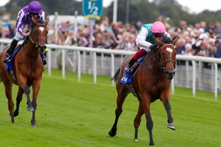 Enable winning the Darley Yorkshire Oaks (Fillies' & Mares' Group 1)