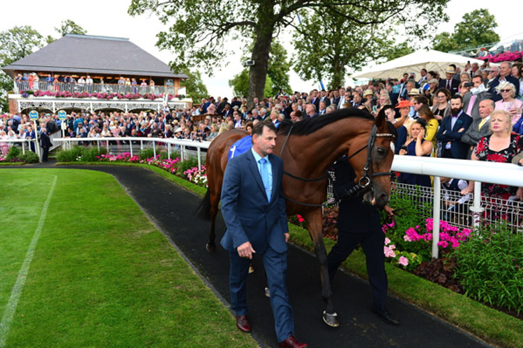 Enable parading on 22 Aug, 2019