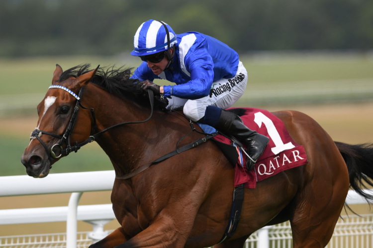 ENBIHAAR winning the Qatar Lillie Langtry Stakes (Group 2) (Fillies And Mares) at Goodwood in Chichester, England.