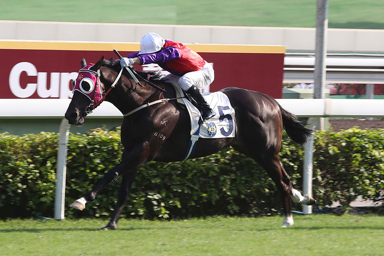 Encouraging is a top rater at Sha Tin.