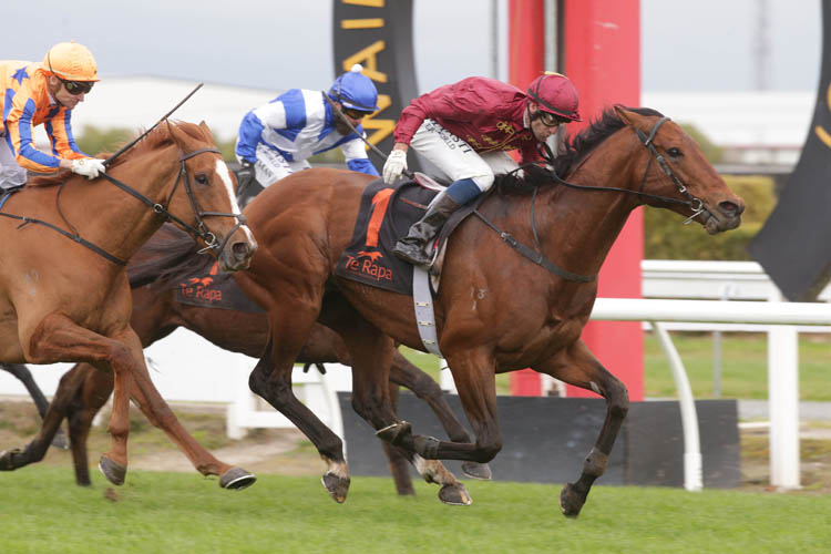 Endless Drama winning the U S Navy Flag Foxbridge Plate