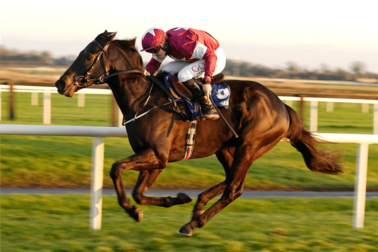 ERIC BLOODAXE winning the royalhousedraw.com at Fairyhouse in Ratoath, Ireland.