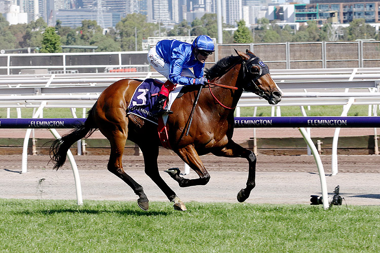 Etymology wins at Flemington