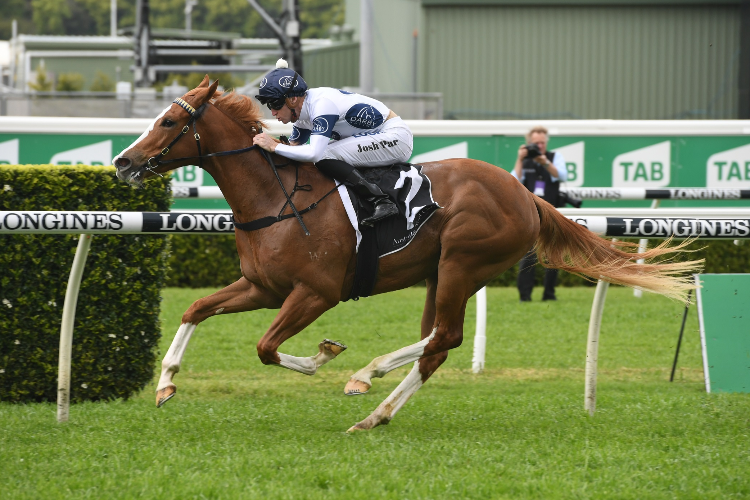 EVERY ROSE winning the Gimcrack Stakes.