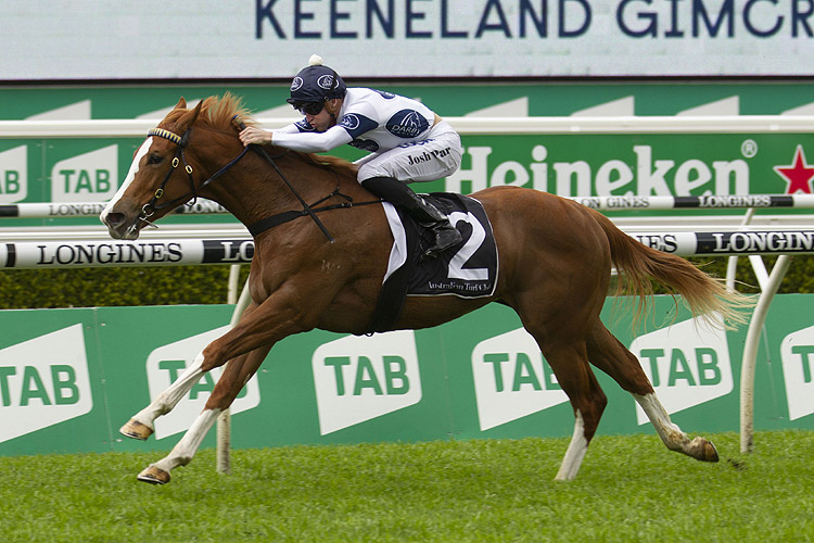 Every Rose winning the Keeneland Gimcrack Stakes