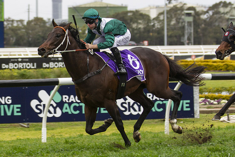 Exceedance winning the Sky Racing Active San Domenico