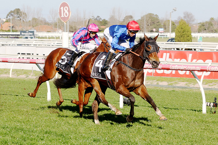 Exhilarates winning the Beck Probuild Quezette Stakes