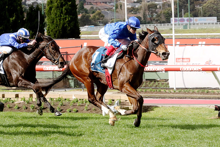 Exhilarates winning the Inglis Atlantic Jewel Stks