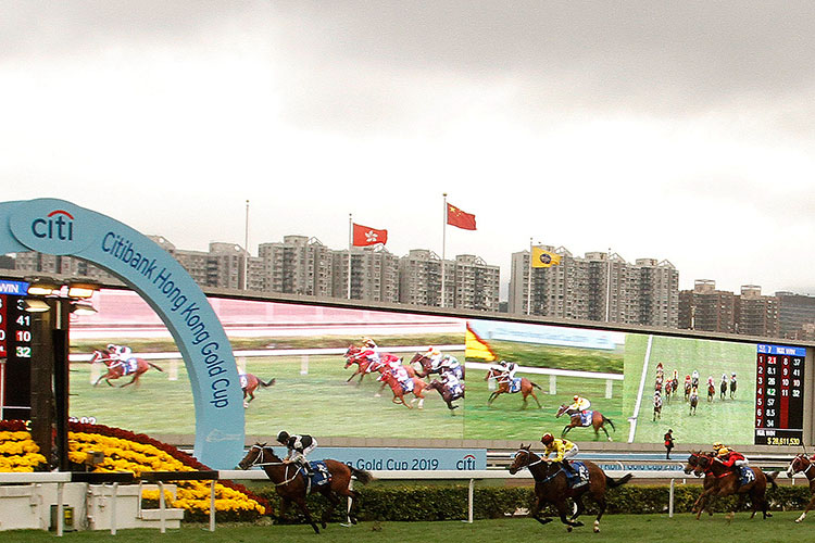 Exultant winning the The Citi Hong Kong Gold Cup.