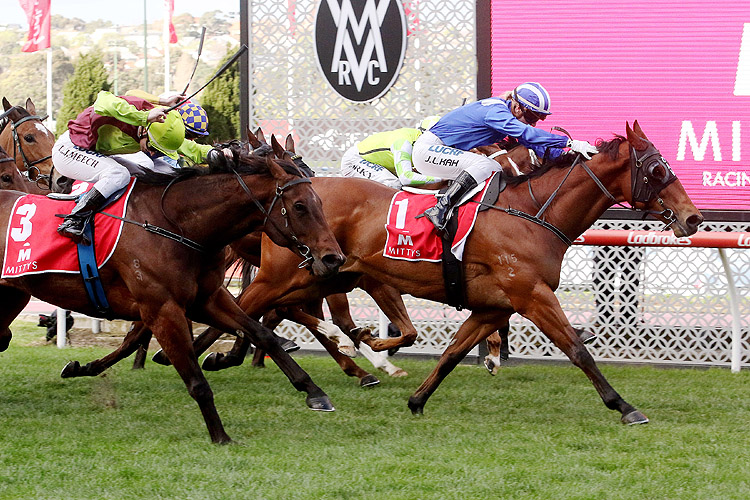 Faatinah winning the Mittys McEwen Stakes
