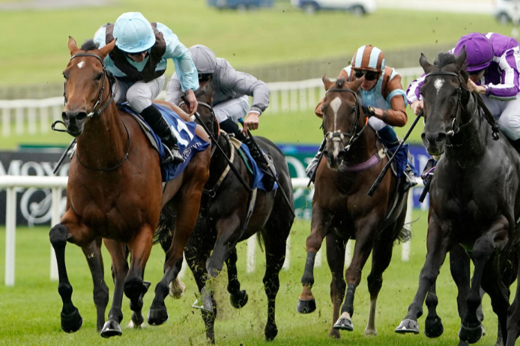 FAIRYLAND winning the Flying Five Stakes at Curragh in Kildare, Ireland.