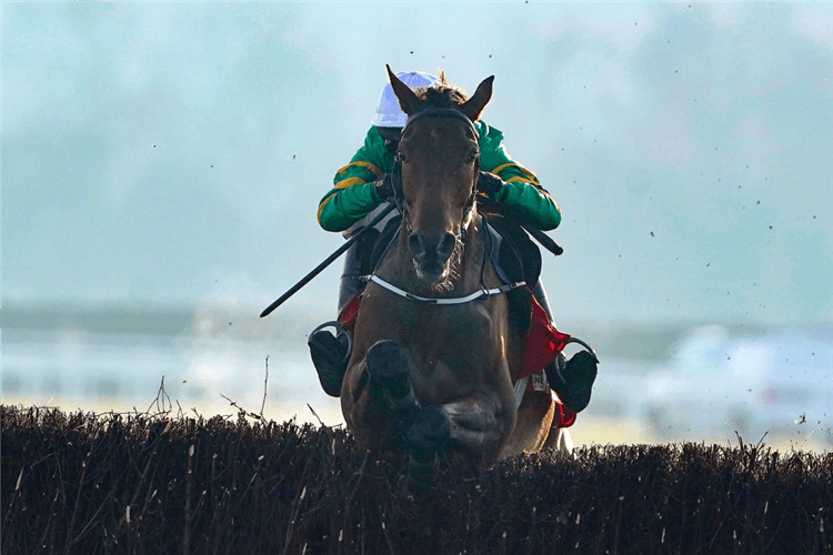 FAKIR D'OUDAIRIES winning the baroneracing.com Drinmore Novice Chase at Fairyhouse in Ratoath, Ireland.