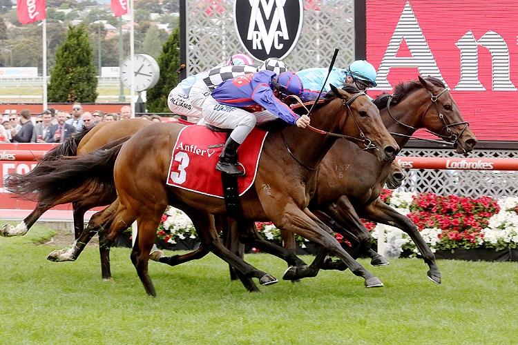 Fascino-LaFalaise-DeadHeat- in the Antler Luggage Fillies Classic