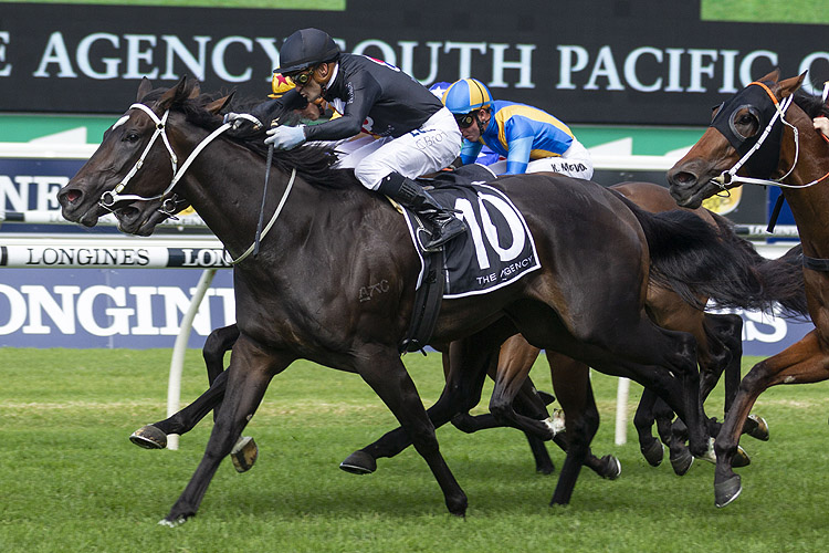 Fasika winning the Agency South Pacific Classic