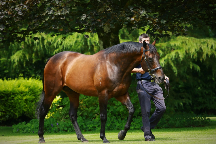 Fastnet Rock.