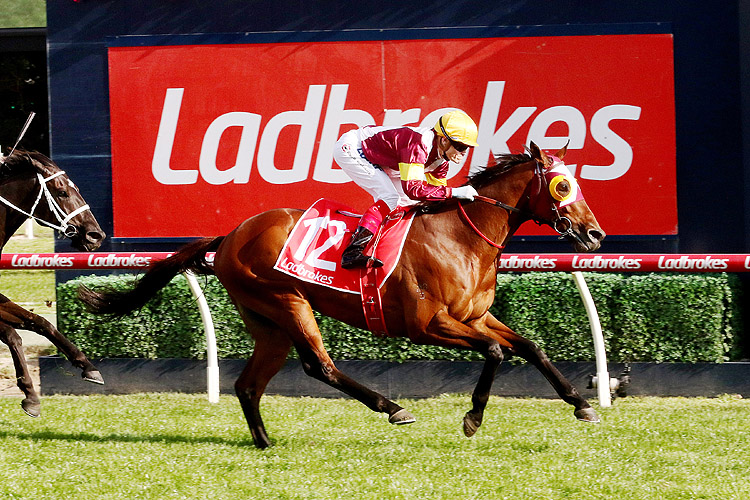 Fierce Impact winning the Lamaro's Hotel Toorak Hcp