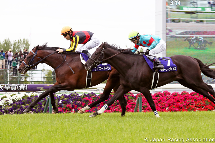 FIEREMENT winning the Tenno Sho in Kyoto, Japan.