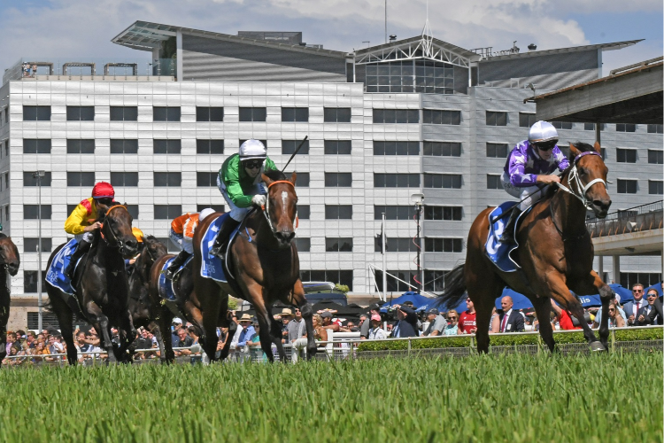 FIESTA winning the Inglis Sprint - 3yos. FIESTA winning the Inglis Sprint - 3yos.