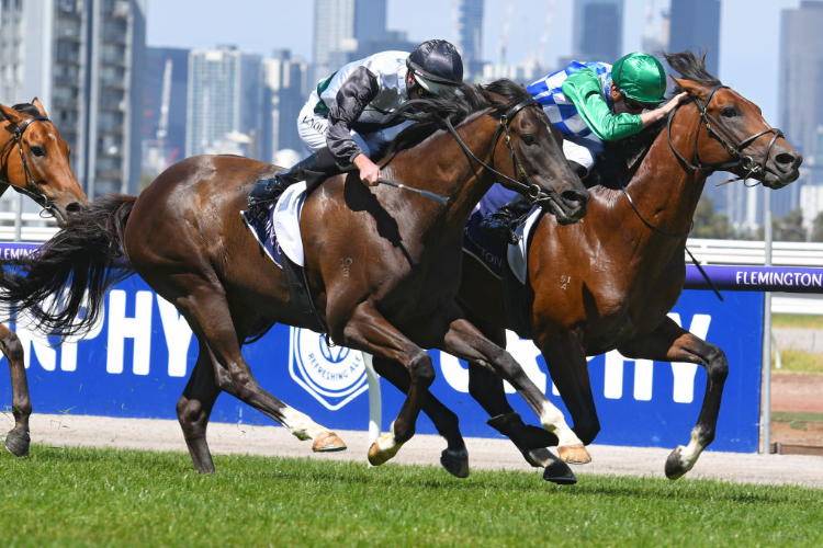 FIFTY STARS winning the Blamey Stakes. FIFTY STARS winning the Blamey Stakes.