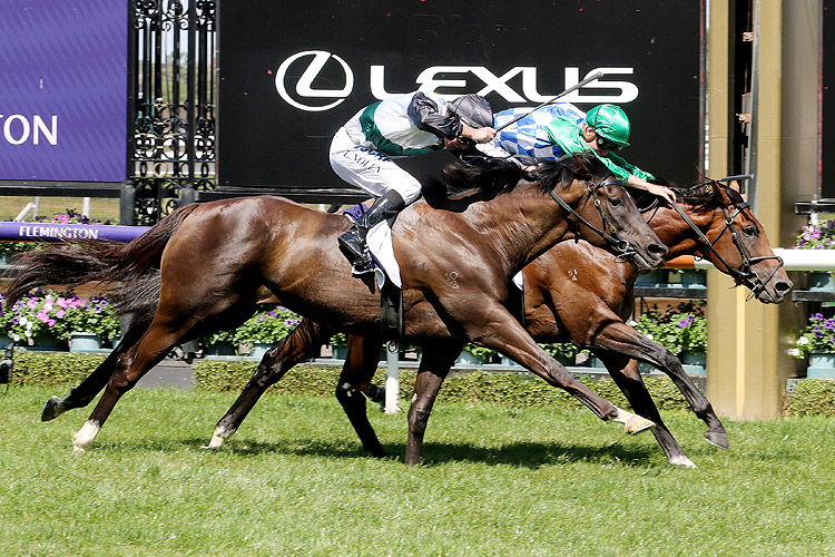 Fifty Stars winning the Blamey Stakes