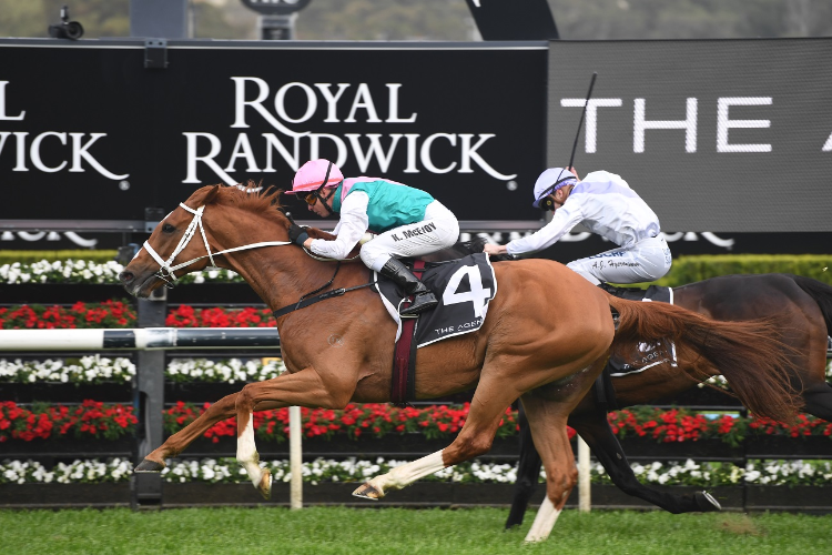 Finche winning the Kingston Town Stakes.