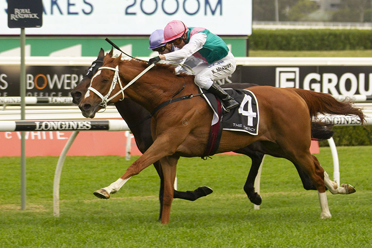 Finche winning the The Agency R/E Kingston Town.