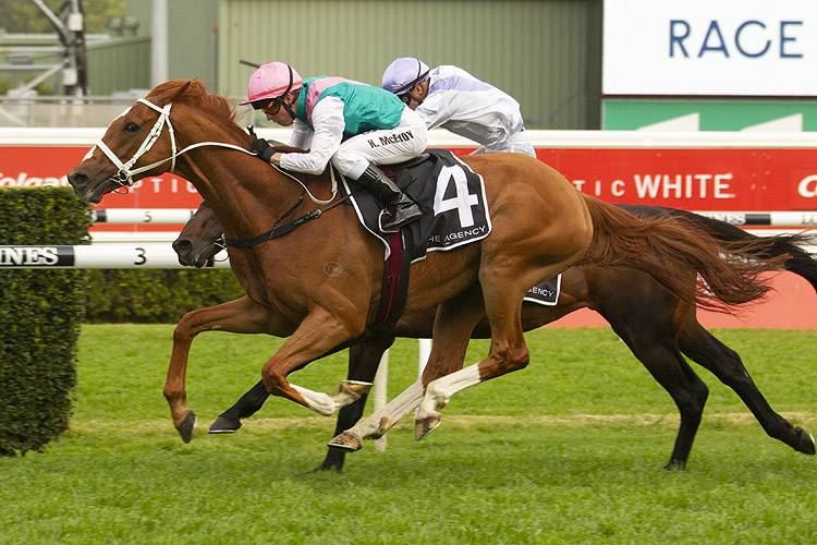 Finche winning the The Agency R/E Kingston Town