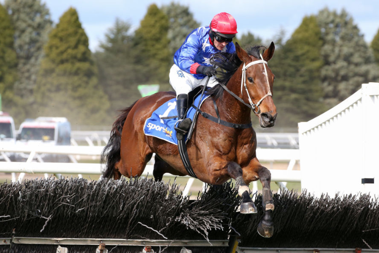 FIREFREE winning the A1 Signage Gotta Take Care Hurdle during the Grand National Jumps Day in Ballarat, Australia.