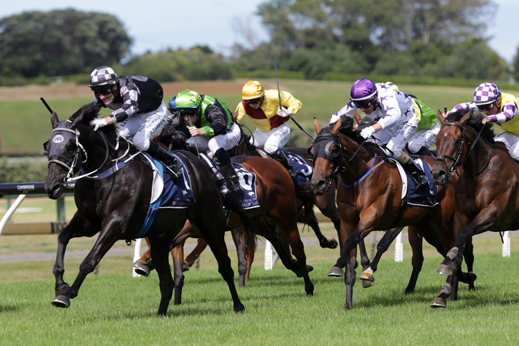 Five To Midnight winning the Collinsonforex Karaka Cup