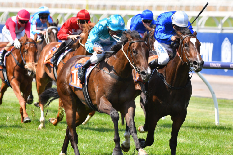 FLIT winning the Tbv Thoroughbred Breeders Stks