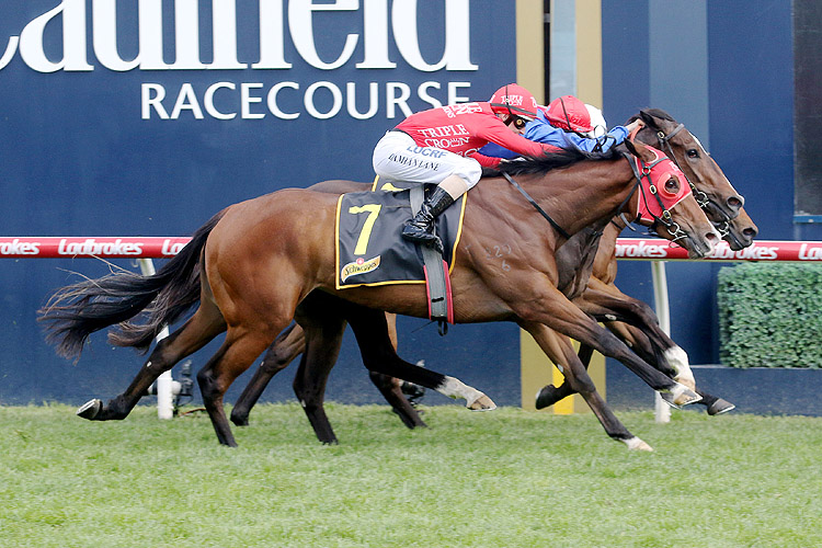 Flit winning the Schweppes Thousand Guineas
