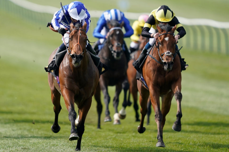 FOX CHAMPION winning the British EBF bet365 Conditions Stakes in Newmarket, England.