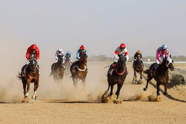 French Hussler winning the Tab Birdsville Cup Hcp