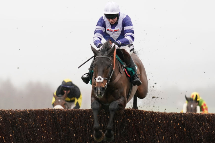 FRODON winning the BetBright Trial Cotswold Chase (Grade 2) in Cheltenham, England.