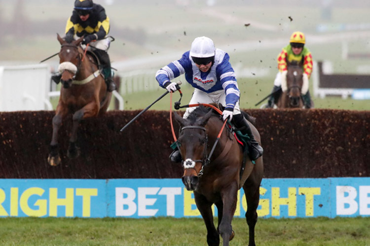Frodon winning the BetBright Trial Cotswold Chase (Grade 2)
