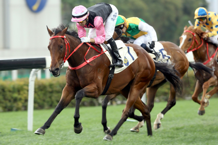 Full Of Beauty winning the Fat Choi Hcp (C3) Full Of Beauty winning the Fat Choi Hcp (C3)