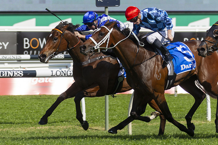 Funstar winning the Darley Tea Rose Stakes