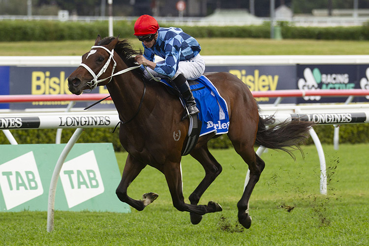 Funstar winning the Darley Flight Stakes