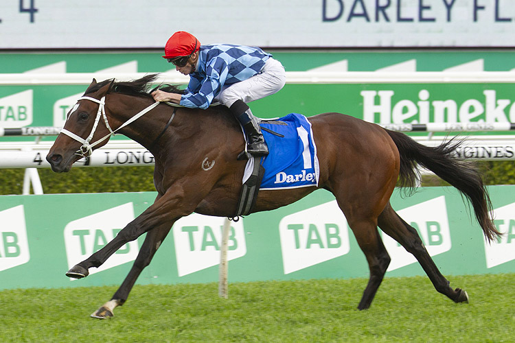 Funstar winning the Darley Flight Stakes.